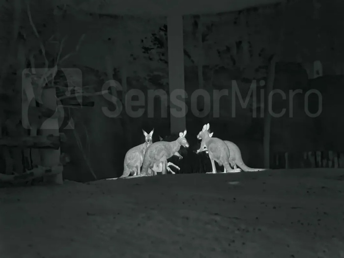 sensormicro-hot-high-definition-thermal-imaging05.jpg