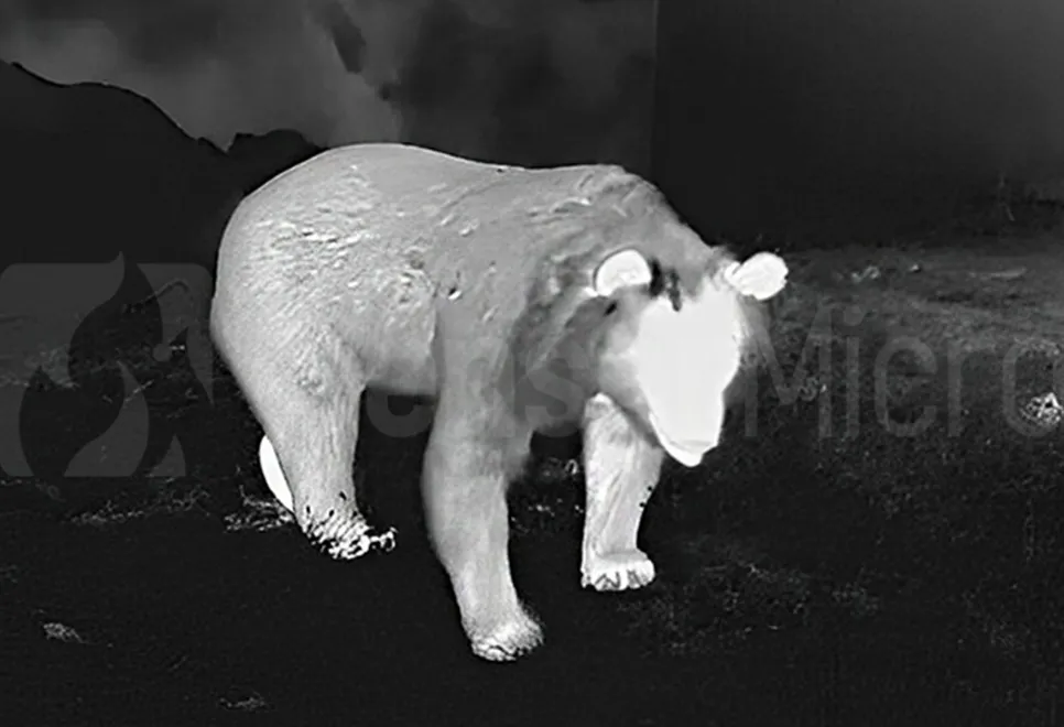 Infrared Thermal Imaging Frame Rate Explained: Choosing the Right FPS for Static, Dynamic, and High-Speed Applications