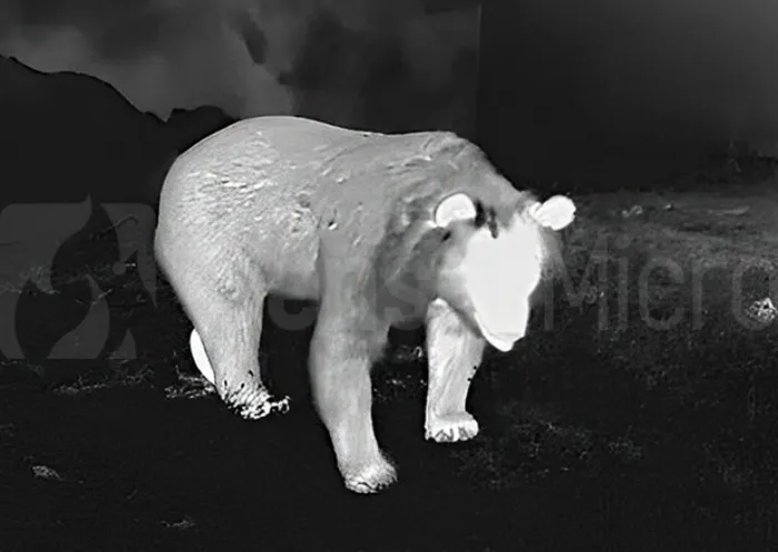 infrared-thermal-imaging-frame-rate-explained01.jpg infrared-thermal-imaging-frame-rate-explained01.jpg