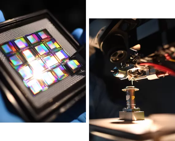 Diverse Product Portfolio