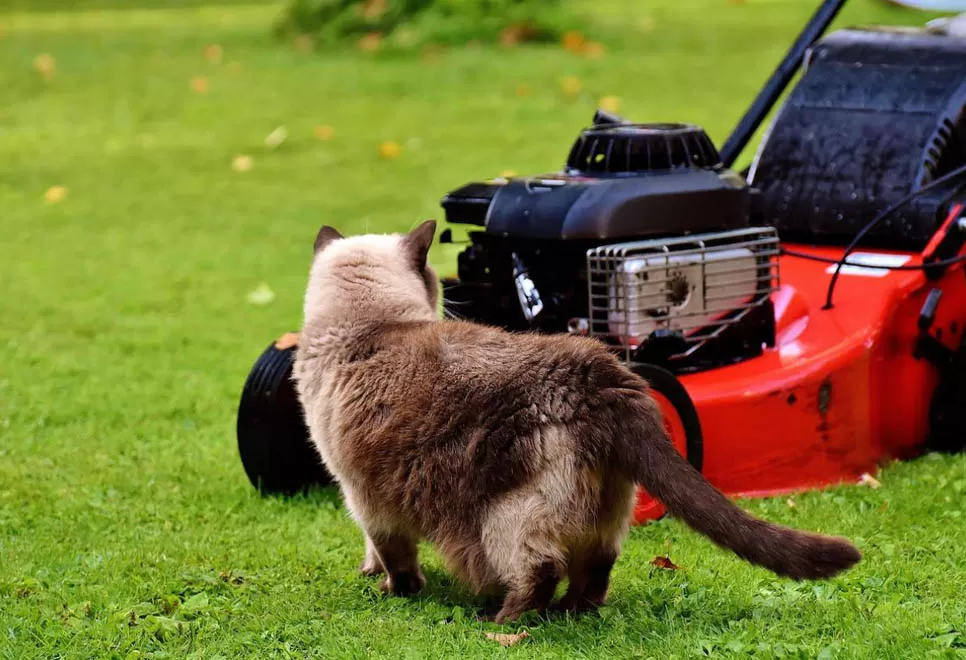 Infrared Thermal Imaging Helps Protect Wildlife from Lawn Mowers