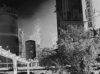 Routine Inspection Emergency Response